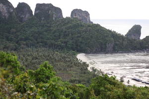 beach, coastline, day, dusk, elevated, Ko Phi Phi Don, Krabi, natural light, palm, Thailand, tree, vegetation
