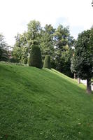Belgium, Brussels, day, eye level view, grass, natural light, park, summer, tree, vegetation