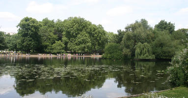 broad-leaf tree, broad-leaved tree, day, England, eye level view, lake, London, park, summer, sunny, The United Kingdom, tree, weeping willow