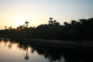 dusk, East Timor, Egypt, Egypt, eye level view, river, river Nile, silhouette, vegetation