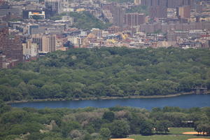 Central Park, cityscape, day, elevated, lake, Manhattan, New York, park, sunny, The United States, tree, vegetation
