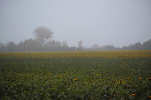 Poland, Wielkopolskie