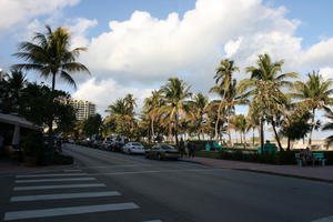 architecture, bench, bright, car, day, eye level view, Florida, group, Miami, object, palm, park, people, road, The United States, transport, tropical, vegetation