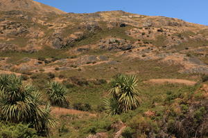 day, eye level view, mountain, palm, summer, sunlight, sunny, sunshine