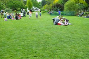 day, England, eye level view, family, garden, grass, group, natural light, park, people, The United Kingdom, Woking