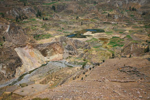 Arequipa, Arequipa, autumn, day, elevated, natural light, Peru, sunny, valley, Valley of Volcanoes, vegetation