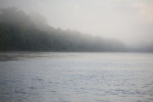 afternoon, Brunei, day, eye level view, fog, forest, natural light, river, summer, tropical