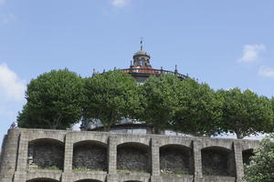 below, broad-leaf tree, broad-leaved tree, day, Porto, Porto, Portugal, spring, sunny, treeline