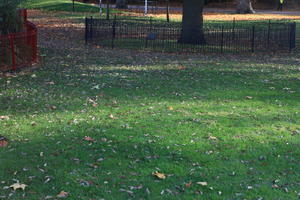afternoon, autumn, Battersea park, day, England, eye level view, grass, leaf, London, park, sunny, The United Kingdom