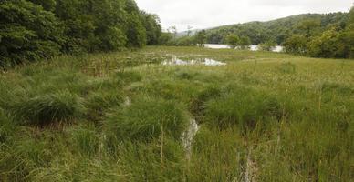 Croatia, day, diffuse, diffused light, eye level view, grass, Karlovacka, lake, natural light, summer