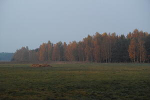 Poland
