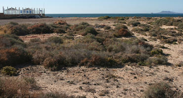 Canarias, day, desert, eye level view, Las Palmas, shrubland, Spain, summer, sunny
