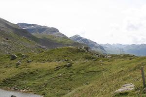 day, elevated, grass, mountain, natural light, Switzerland, Switzerland, vegetation