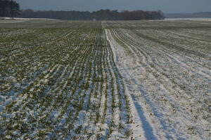 Poland, Wielkopolskie