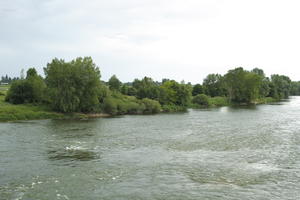 Beaugency, Centre, coastline, day, eye level view, France, natural light, river, tree, vegetation