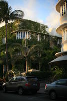 architecture, building, car, dusk, evening, eye level view, facade, Florida, ivy, Miami, palm, street, The United States, transport, tree, vegetation, winter