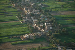 aerial view, dusk, East Timor, Egypt, Egypt, palm, town, tree, vegetation