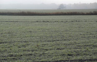 Poland, Wielkopolskie