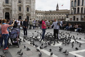 casual, crowd, day, eye level view, Italia , Lombardia, Milano, natural light, people, pidgeons, plaza, sitting, standing, summer