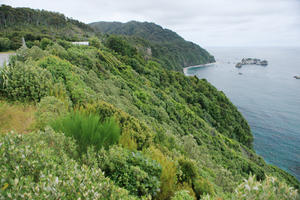 day, diffuse, diffused light, elevated, mountain, natural light, New Zealand, overcast, slope, summer, vegetation, West Coast