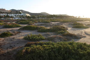 afternoon, Canarias, day, eye level view, heath, Las Palmas, Spain, spring, sunny, sunset