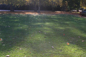 afternoon, autumn, day, England, eye level view, grass, leaf, London, park, sunny, The United Kingdom