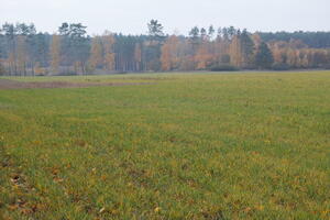 Poland, Wielkopolskie