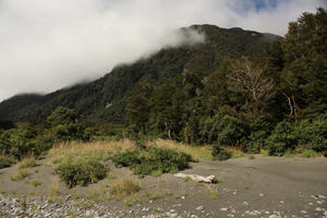 bush, day, eye level view, grass, mountain, summer, sunlight, sunny, sunshine, tree