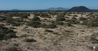 Canarias, day, desert, eye level view, Las Palmas, shrubland, Spain, summer, sunny