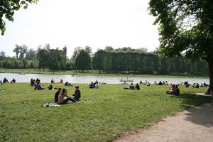 day, eye level view, France, grass, group, Ile-De-France, lake, landmarks, Palace of Versailles, Paris, park, people, sitting, spring, summer, summer, sunny, tree, vegetation