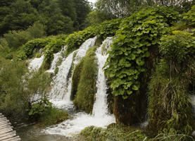 Croatia, day, diffuse, diffused light, eye level view, Karlovacka, natural light, plant, shrub, summer, waterfall