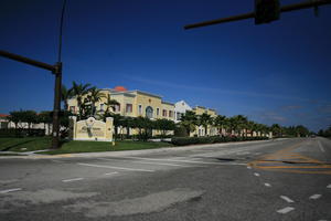 building, day, eye level view, Florida, house, Miami, natural light, palm, street, sunny, The United States, tree, vegetation, winter