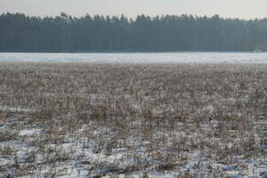 Poland, Wielkopolskie