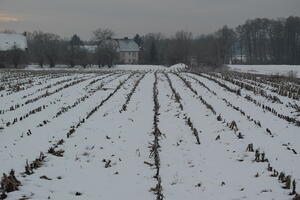 Poland, Wielkopolskie