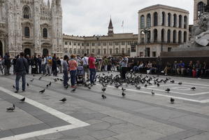 casual, crowd, day, eye level view, Italia , Lombardia, Milano, natural light, people, pidgeons, plaza, sitting, standing, summer, walking
