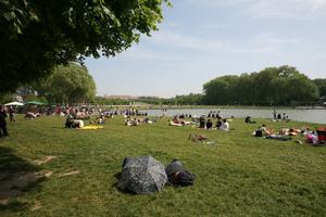day, eye level view, France, grass, group, Ile-De-France, lake, landmarks, Palace of Versailles, Paris, park, people, sitting, spring, summer, summer, sunny, tree, vegetation