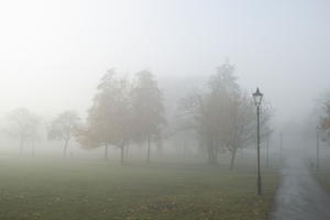 deciduous, England, eye level view, fog, grass, London, natural light, overcast, park, silhouette, street light, The United Kingdom, tree, winter