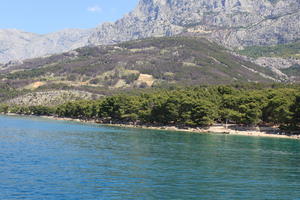 beach, coastline, Croatia, day, eye level view, Makarska, seascape, Splitsko-Dalmatinska, summer, tree, vegetation, woodland