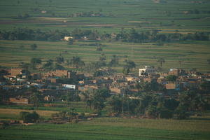 aerial view, dusk, East Timor, Egypt, Egypt, palm, town, tree, vegetation