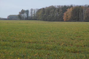 Poland, Wielkopolskie