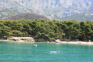 coastline, Croatia, day, eye level view, Makarska, people, seascape, Splitsko-Dalmatinska, summer, sunbathing, swimming, tree, vegetation, woodland