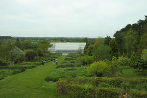 bush, day, England, eye level view, garden, grass, greenhouses, natural light, park, plant, The United Kingdom, Woking