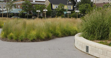 Canada, day, diffuse, diffused light, eye level view, grass, Ontario, Ottawa, pavement, summer