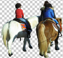 back, casual, children, cutout, cutout groups, cutout people, day, eye level view, horse, kids, people, sunny
