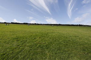 autumn, day, England, eye level view, garden, grass, sunny, The United Kingdom