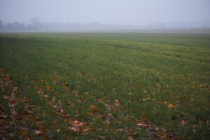Poland, Wielkopolskie