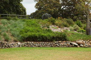 Australia, bush, day, eye level view, grass, natural light, New South Wales, park, summer, Sydney, vegetation