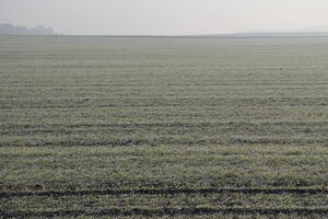Poland, Wielkopolskie