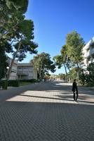Alicante, day, eye level view, pavement, Spain, sunny, tree, Valenciana