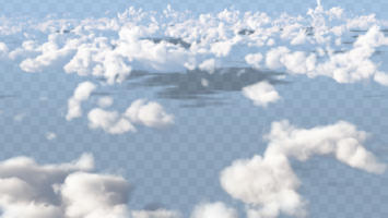 above, aerial view, bird